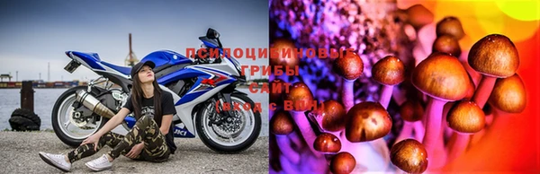 прущая мука Балахна